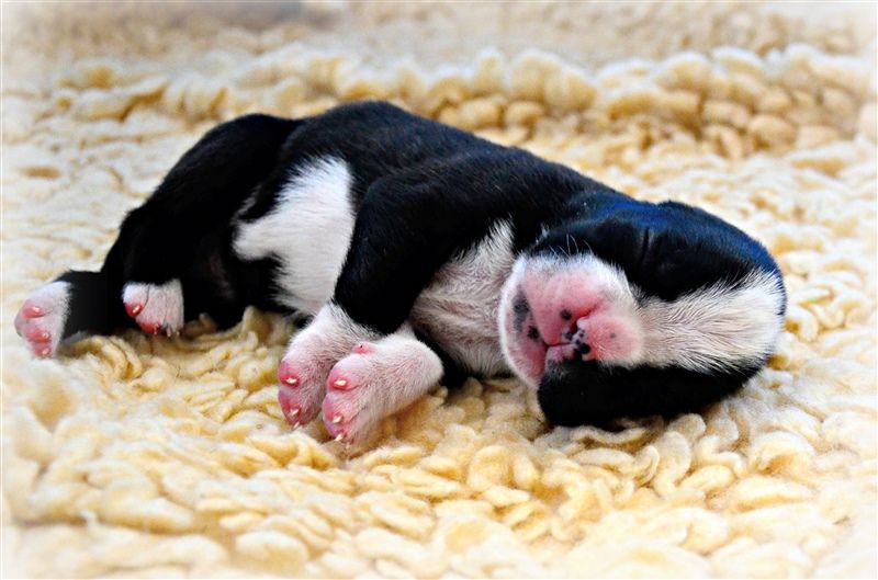 Freya Fae, 1 week